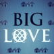 Promo : Big Love Saison 3 (affiches)